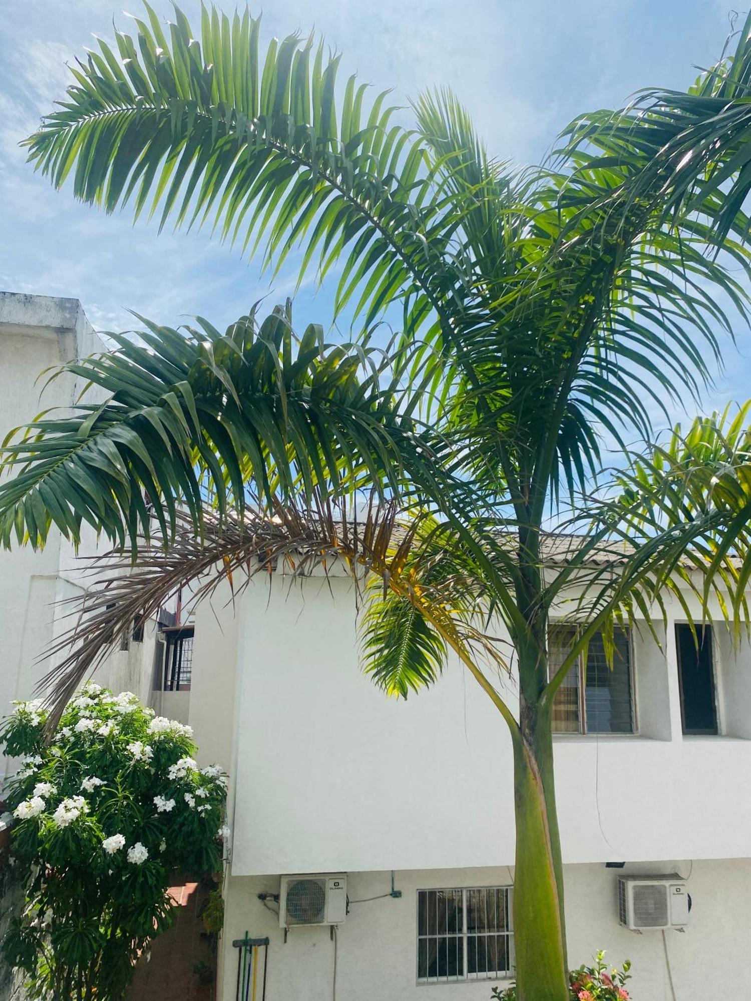 Cartagena Hostel Cerca Al Centro Historico מראה חיצוני תמונה